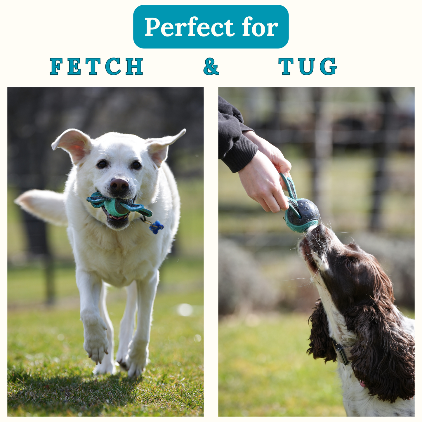 The Chewy Ball – Premium Dog Ball with Straps & Grab Tabs