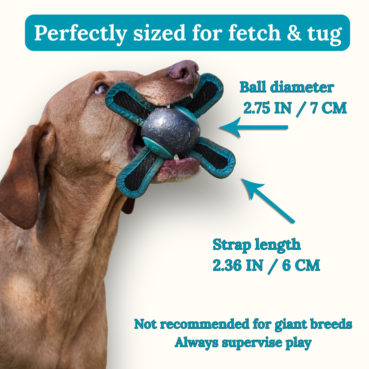 The Chewy Ball – Premium Dog Ball with Straps & Grab Tabs